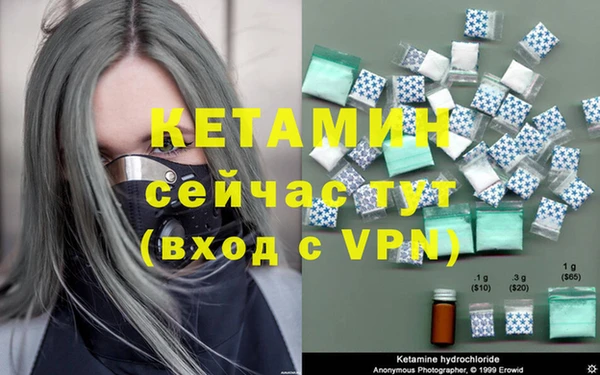 стафф Дмитровск
