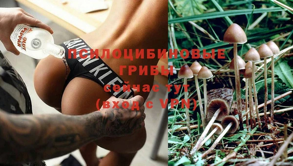 СК Гусь-Хрустальный